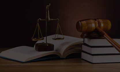 How-Environmental-Law-Holds-Companies-Accountable-When-Their-Activities-Damage-Natural-Habitats